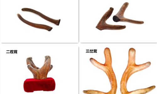 疱疹共用餐具会传染吗-与疱疹病人共用碗筷网—知名的与疱疹病人共用碗筷怎么办网站,分享与疱疹病人共用碗筷会传染吗知识