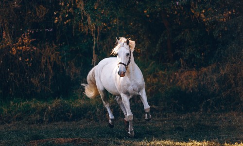 和得疱疹的人用了一个洗衣机会传染吗-与疱疹病人共用碗筷网—知名的与疱疹病人共用碗筷怎么办网站,分享与疱疹病人共用碗筷会传染吗知识